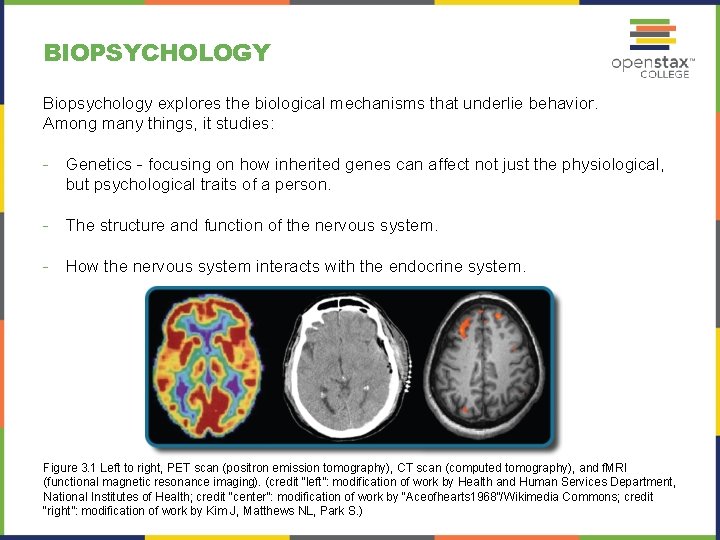 BIOPSYCHOLOGY Biopsychology explores the biological mechanisms that underlie behavior. Among many things, it studies: