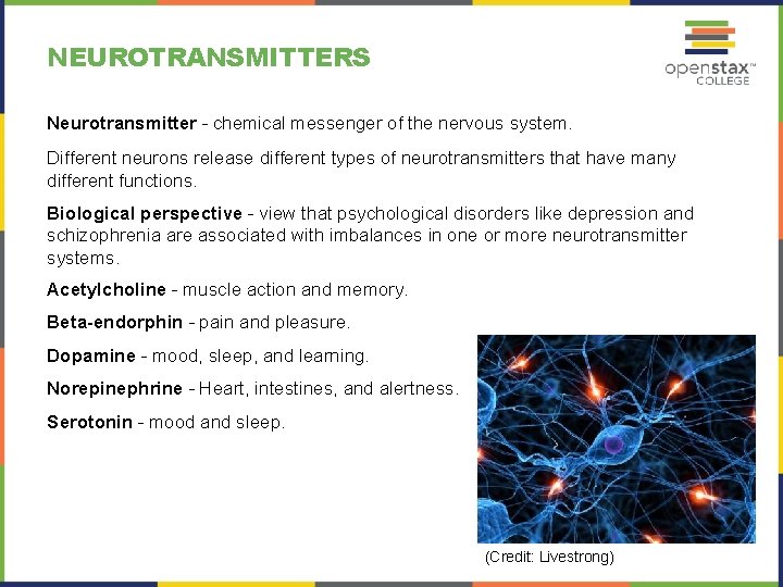 NEUROTRANSMITTERS Neurotransmitter – chemical messenger of the nervous system. Different neurons release different types