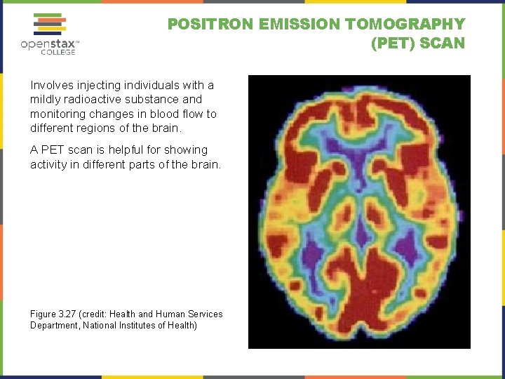 POSITRON EMISSION TOMOGRAPHY (PET) SCAN Involves injecting individuals with a mildly radioactive substance and