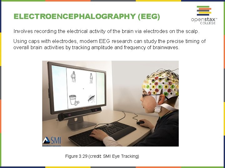 ELECTROENCEPHALOGRAPHY (EEG) Involves recording the electrical activity of the brain via electrodes on the
