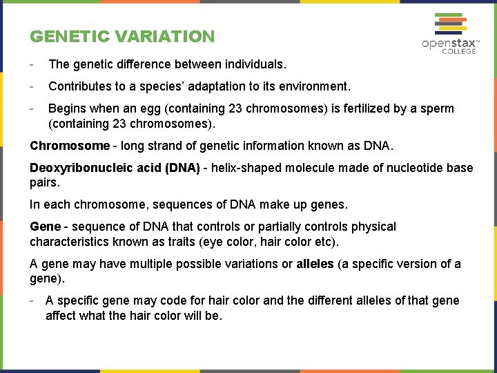 GENETIC VARIATION - The genetic difference between individuals. - Contributes to a species’ adaptation
