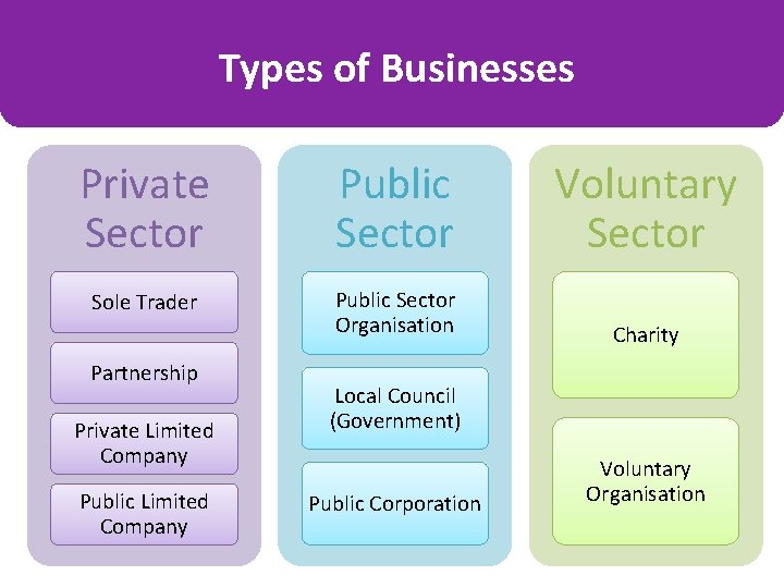 Types of Businesses Private Sector Public Sector Voluntary Sector Sole Trader Public Sector Organisation Types of Businesses Private Sector Public Sector Voluntary Sector Sole Trader Public Sector Organisation