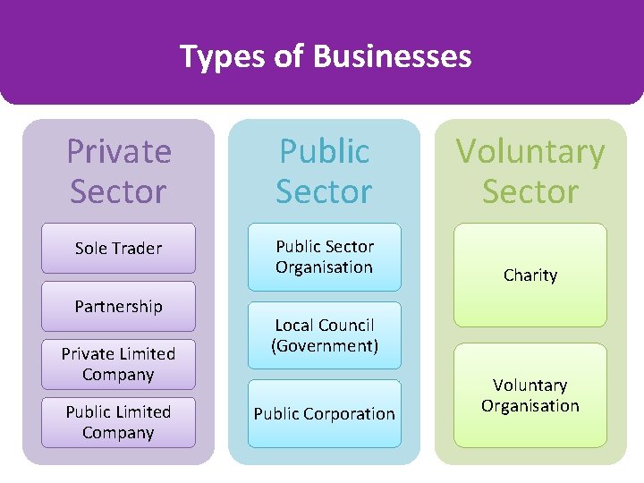 Types of Businesses Private Sector Public Sector Voluntary Sector Sole Trader Public Sector Organisation