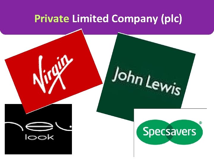 Private Limited Company (plc) 