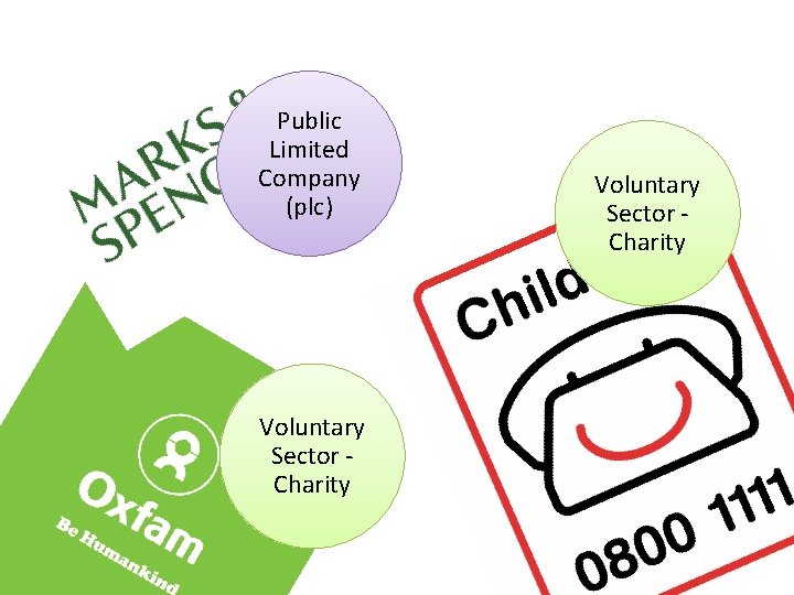 Public Limited Company (plc) Voluntary Sector Charity 