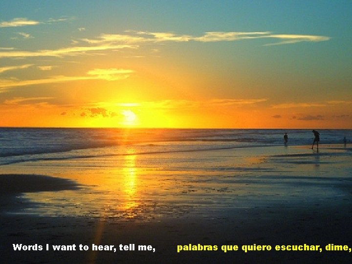 Words I want to hear, tell me, palabras que quiero escuchar, dime, 