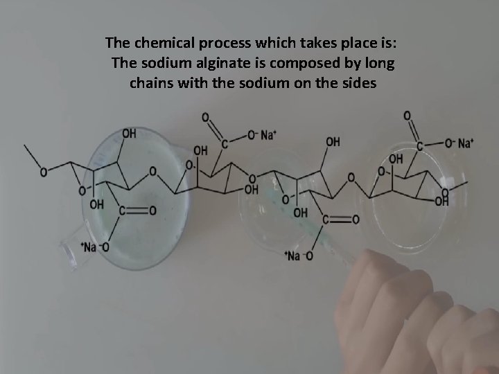 The chemical process which takes place is: The sodium alginate is composed by long