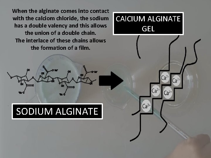 When the alginate comes into contact with the calciom chloride, the sodium has a