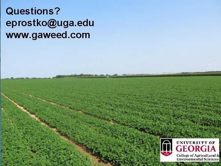Questions? eprostko@uga. edu www. gaweed. com 