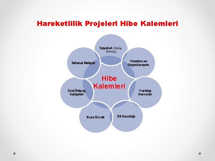 Hareketlilik Projeleri Hibe Kalemleri Seyahat (GidişDönüş) Yönetim ve Organizasyon İstisnai Maliyet Özel İhtiyaç Sahipleri