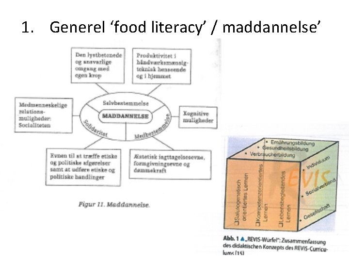 1. Generel ‘food literacy’ / maddannelse’ 