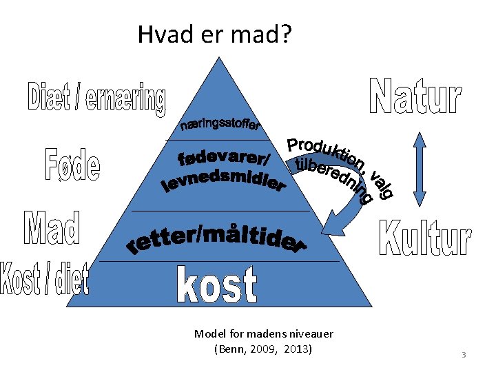 Hvad er mad? Model for madens niveauer (Benn, 2009, 2013) 3 