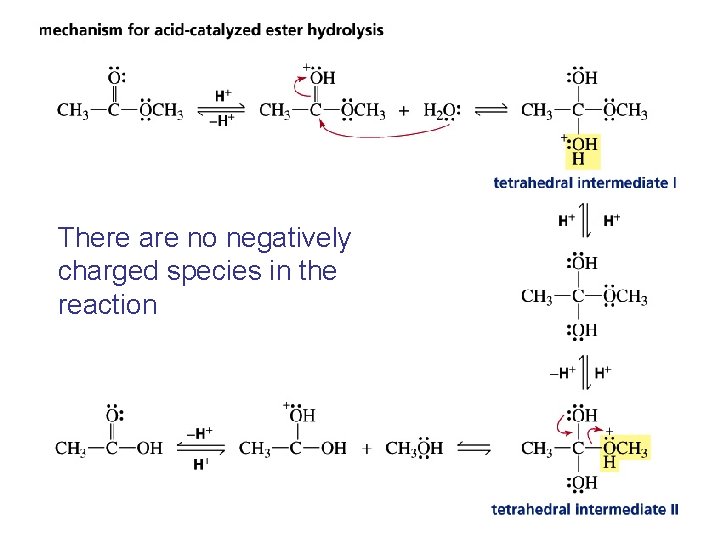 There are no negatively charged species in the reaction 