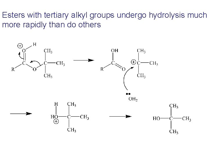 Esters with tertiary alkyl groups undergo hydrolysis much more rapidly than do others 