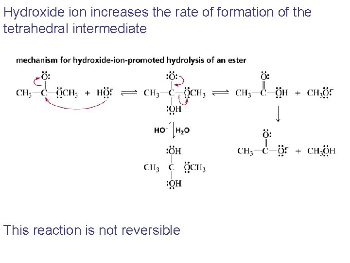 Hydroxide ion increases the rate of formation of the tetrahedral intermediate This reaction is