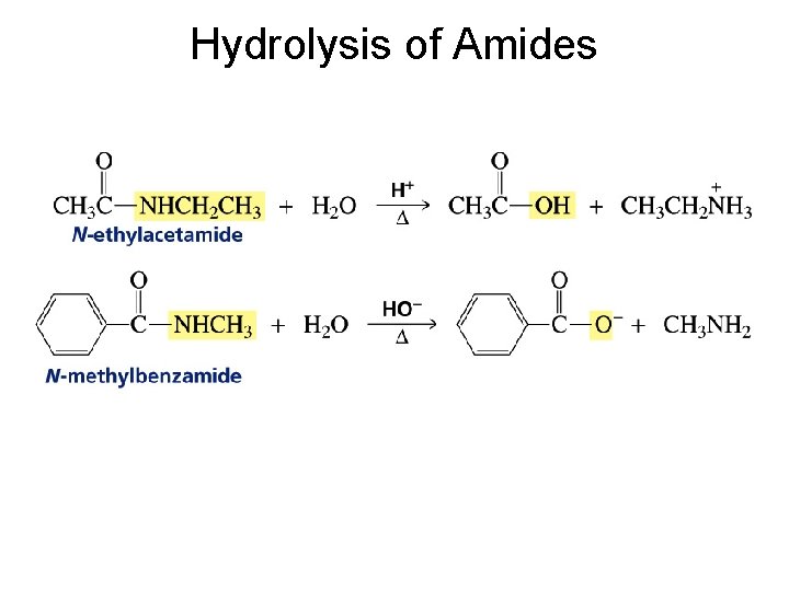 Hydrolysis of Amides 