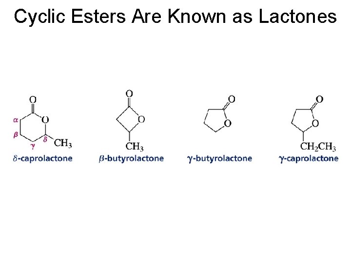 Cyclic Esters Are Known as Lactones 