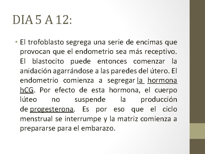 DIA 5 A 12: • El trofoblasto segrega una serie de encimas que provocan