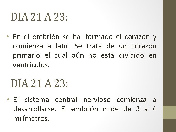 DIA 21 A 23: • En el embrión se ha formado el corazón y