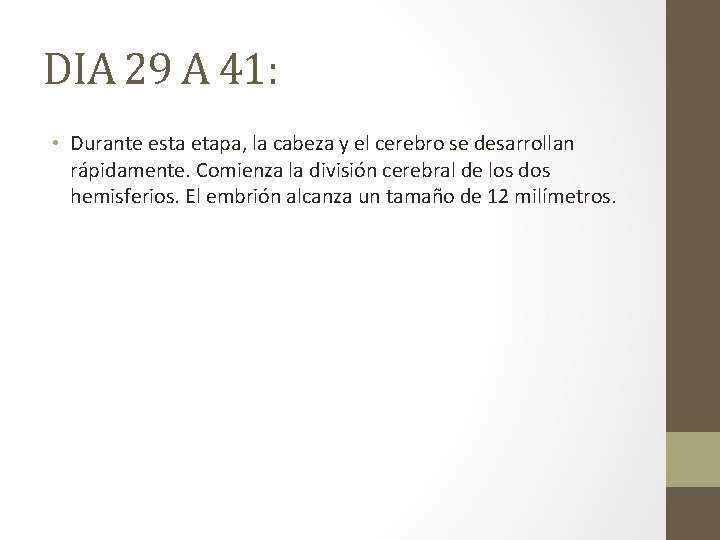 DIA 29 A 41: • Durante esta etapa, la cabeza y el cerebro se