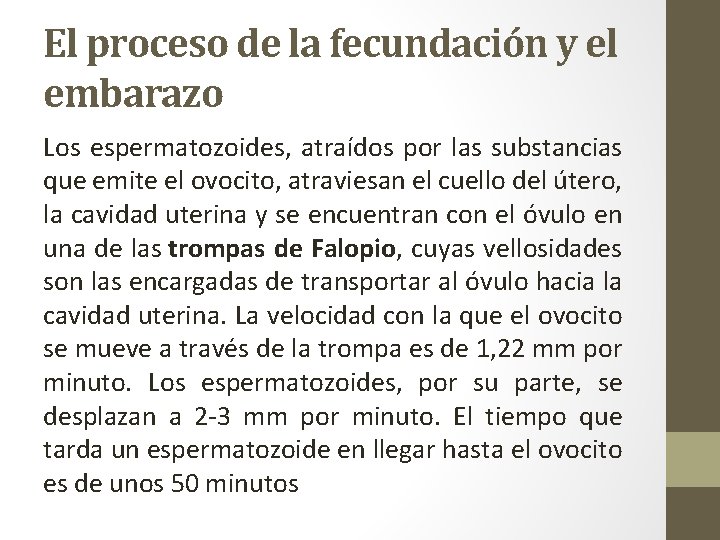 El proceso de la fecundación y el embarazo Los espermatozoides, atraídos por las substancias