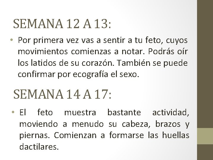 SEMANA 12 A 13: • Por primera vez vas a sentir a tu feto,