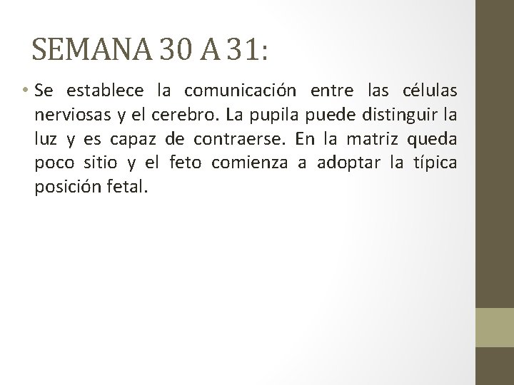 SEMANA 30 A 31: • Se establece la comunicación entre las células nerviosas y