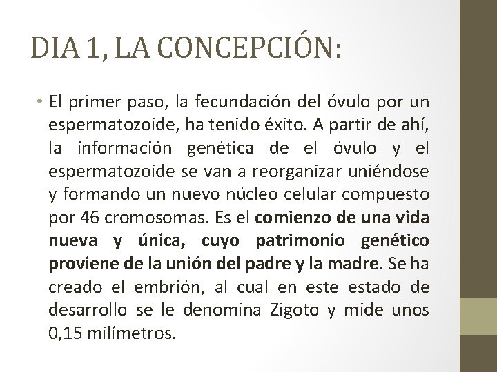 DIA 1, LA CONCEPCIÓN: • El primer paso, la fecundación del óvulo por un