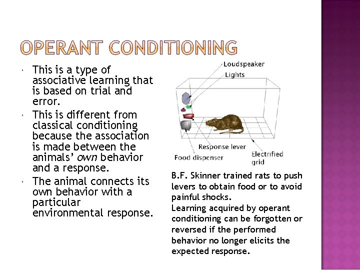  This is a type of associative learning that is based on trial and