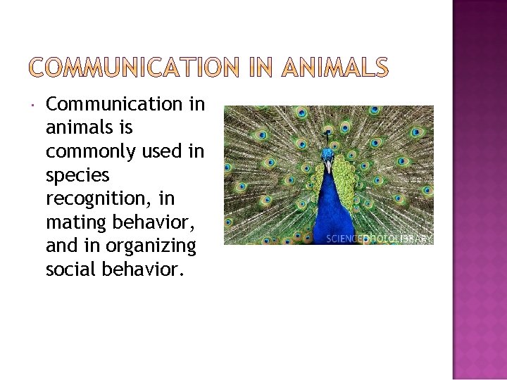  Communication in animals is commonly used in species recognition, in mating behavior, and