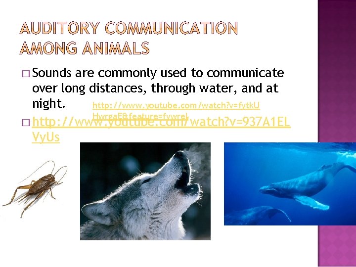 � Sounds are commonly used to communicate over long distances, through water, and at