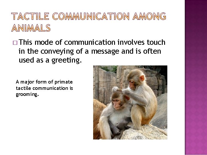 � This mode of communication involves touch in the conveying of a message and