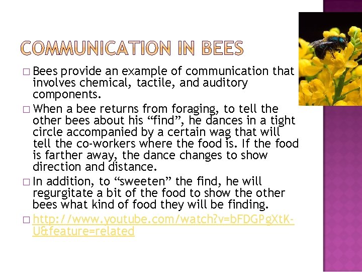 � Bees provide an example of communication that involves chemical, tactile, and auditory components.