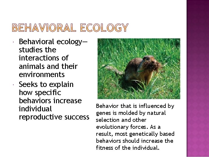  Behavioral ecology— studies the interactions of animals and their environments Seeks to explain