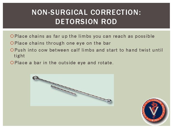 NON-SURGICAL CORRECTION: DETORSION ROD Place chains as far up the limbs you can reach