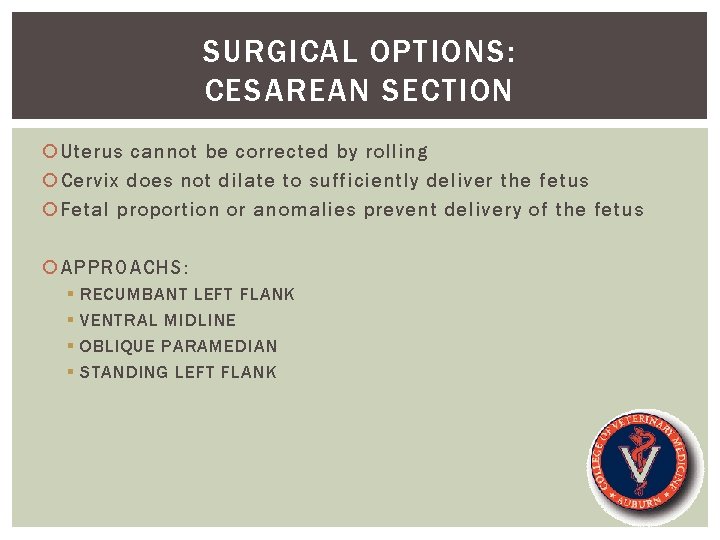 SURGICAL OPTIONS: CESAREAN SECTION Uterus cannot be corrected by rolling Cervix does not dilate