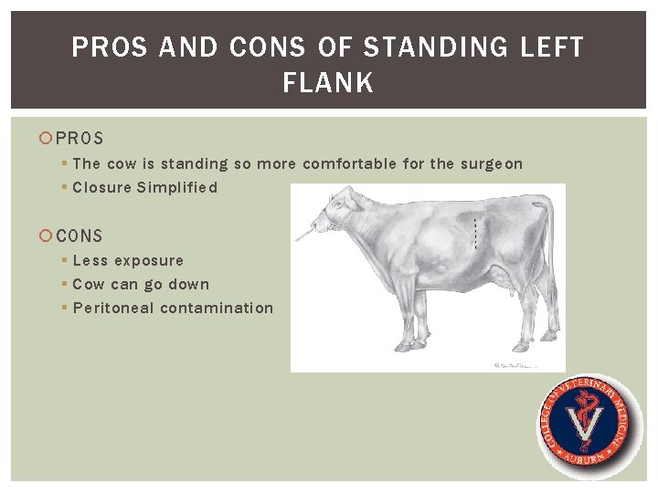 PROS AND CONS OF STANDING LEFT FLANK PROS § The cow is standing so