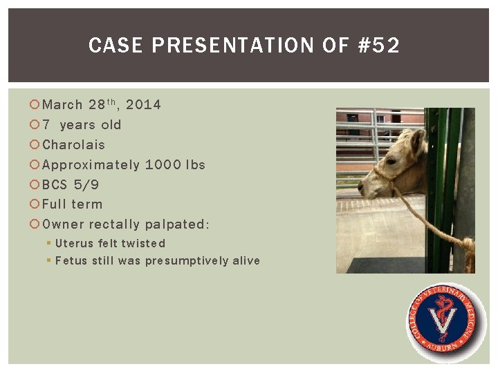 CASE PRESENTATION OF #52 March 28 t h , 2014 7 years old Charolais