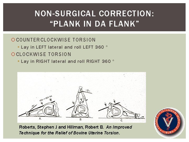 NON-SURGICAL CORRECTION: “PLANK IN DA FLANK” COUNTERCLOCKWISE TORSION § Lay in LEFT lateral and