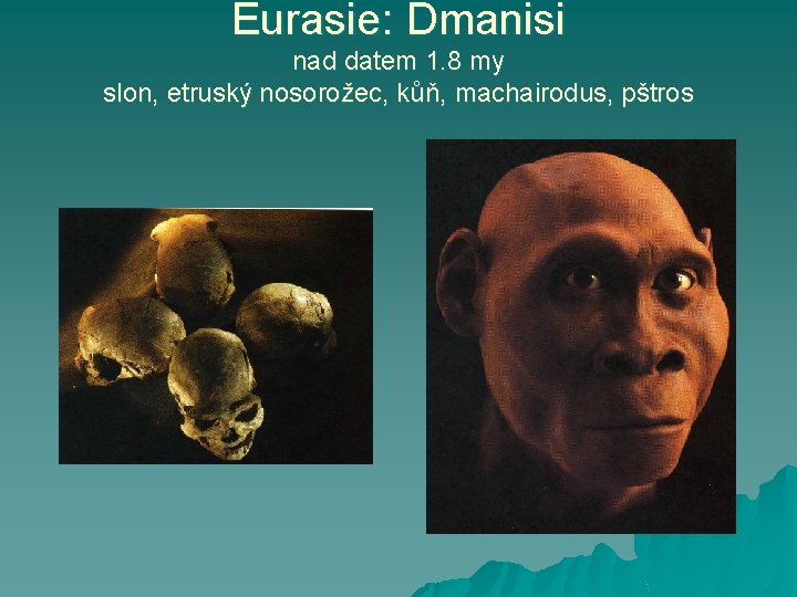 Eurasie: Dmanisi nad datem 1. 8 my slon, etruský nosorožec, kůň, machairodus, pštros 