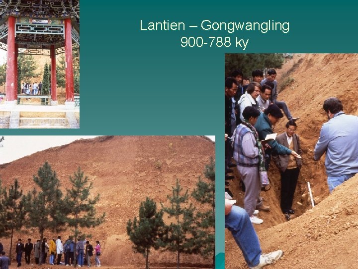 Lantien – Gongwangling 900 -788 ky 