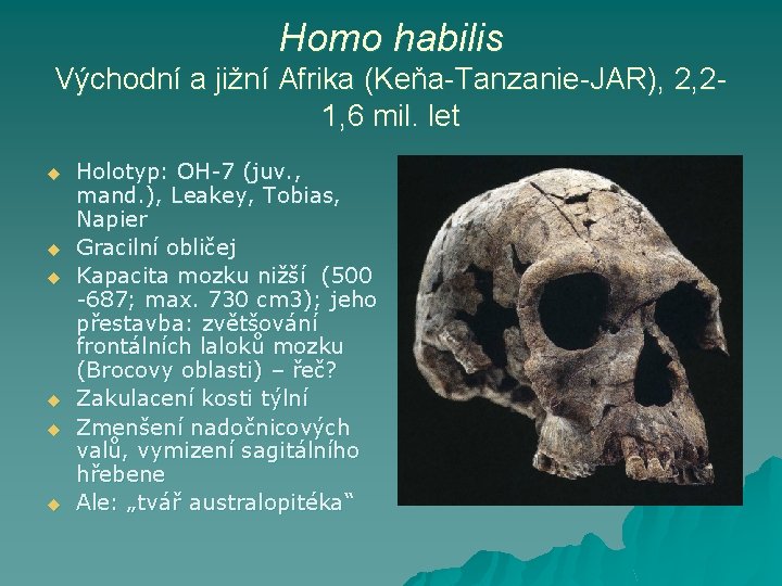 Homo habilis Východní a jižní Afrika (Keňa-Tanzanie-JAR), 2, 21, 6 mil. let u u