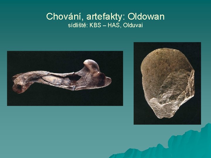 Chování, artefakty: Oldowan sídliště: KBS – HAS, Olduvai 