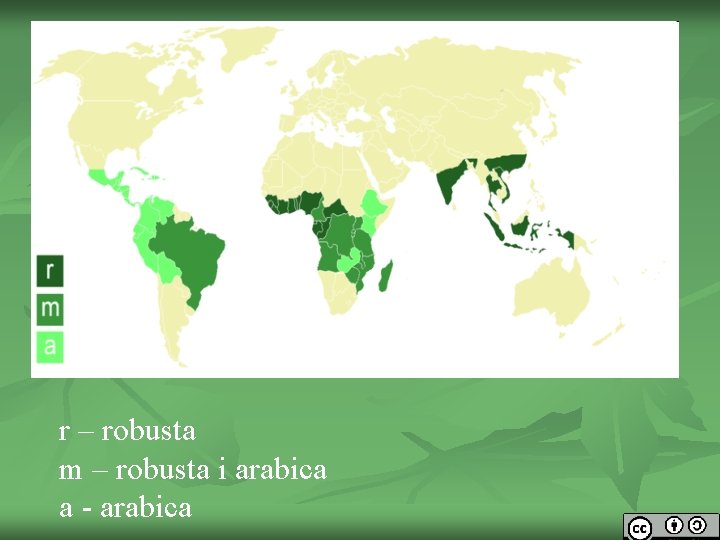 r – robusta m – robusta i arabica a - arabica 