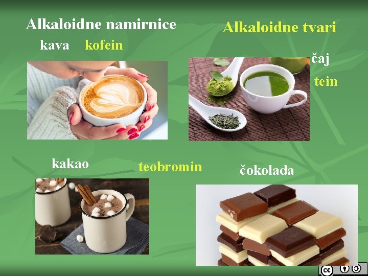 Alkaloidne namirnice kava Alkaloidne tvari kofein čaj tein kakao teobromin čokolada 