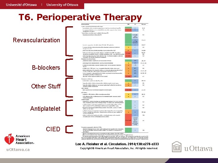 T 6. Perioperative Therapy Revascularization B-blockers Other Stuff Antiplatelet CIED Lee A. Fleisher et