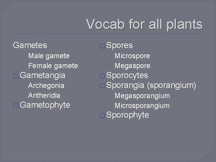 Vocab for all plants Gametes • Male gamete • Female gamete � Gametangia •