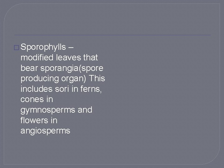 � Sporophylls – modified leaves that bear sporangia(spore producing organ) This includes sori in