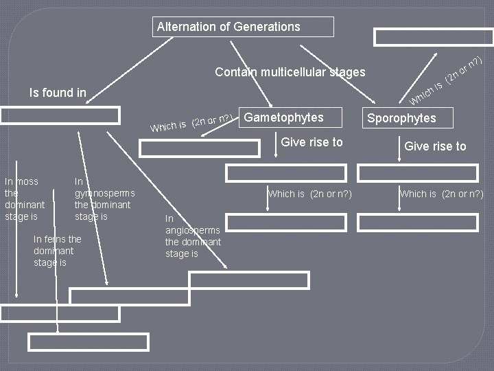 Alternation of Generations ) Contain multicellular stages Is found in W ? (2 n