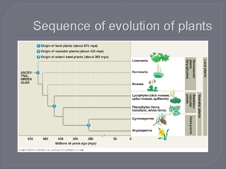Sequence of evolution of plants 